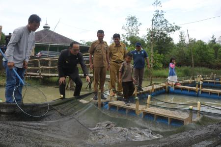 Bekas Kolong Timah di Bangka Tengah, Panen Ikan Melimpah!  