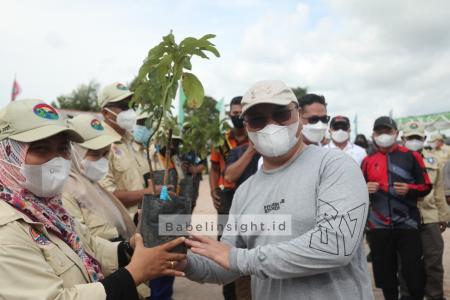 Dua Ribu Pohon Untuk 