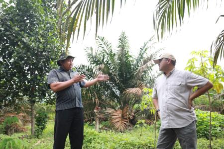 Dukungan Erzaldi untuk Program Penghijauan di Desa Labu