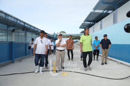 Erzaldi: Hatchery Udang Vaname Tercanggih Segera Beroperasi di Bangka Belitung