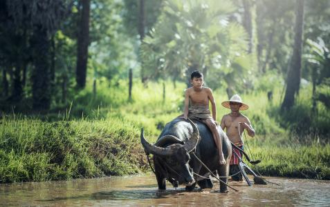 Malu Karena Tanah Kita Tanah Surga?