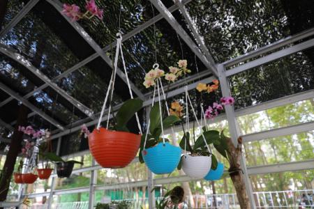 Melihat Lahirnya Orchidarium Perdana di Bangka Belitung