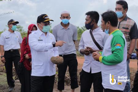 Menangkap Peluang, Budidayakan Porang saat Dunia Membutuhkan