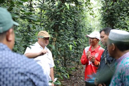 Pola Berbeda untuk Petani Lada? 