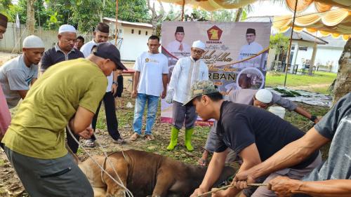 Prabowo Salurkan Sapi untuk Babel