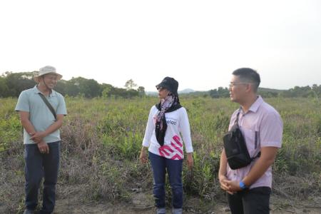 Secercah Harapan bagi Petani Kayu Putih di Belitung