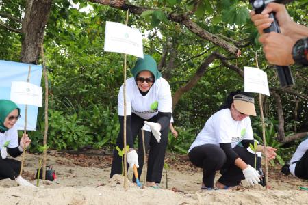 Tukik dan Mangrove dari IAD untuk Kelestarian Laut Belitung